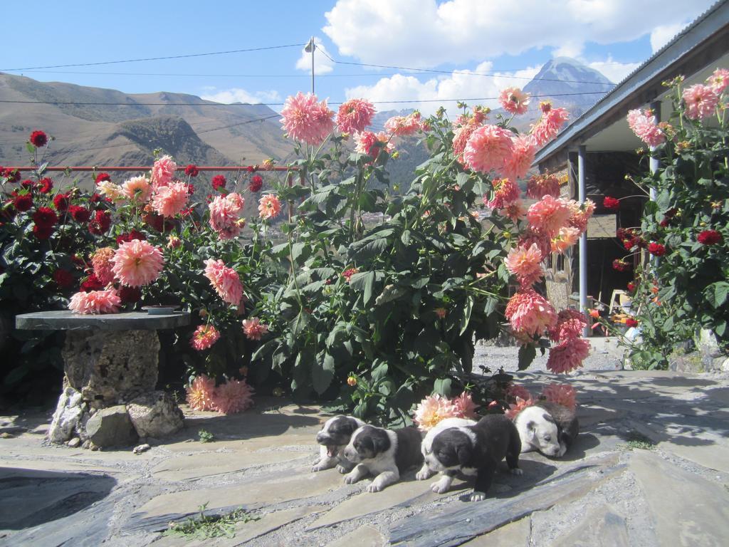 Qusha Guesthouse Meeting In The Mountains And Views Kazbegi Camera foto