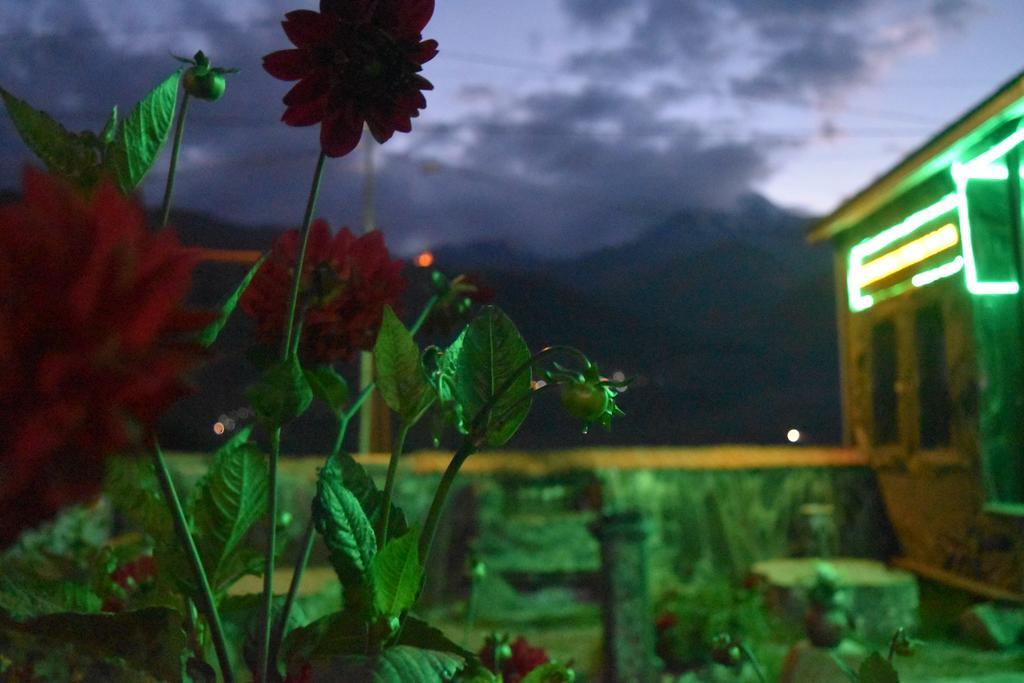 Qusha Guesthouse Meeting In The Mountains And Views Kazbegi Esterno foto