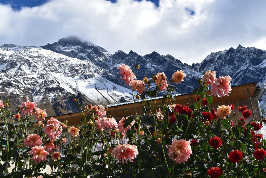 Qusha Guesthouse Meeting In The Mountains And Views Kazbegi Esterno foto
